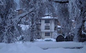 Самостоятелни стаи Метаксинови